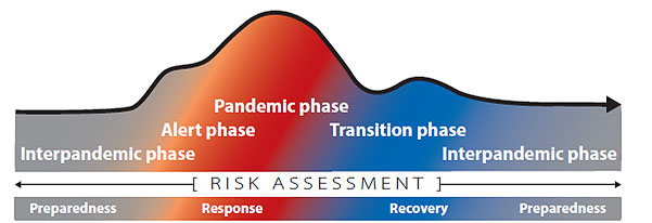 There are 5 pandemic phases: interpandemic phase when the focus is on preparedness, alert phase and pandemic phase when the focus is on response, transition phase when the focus is on recovery, and a return to interpandemic phase.